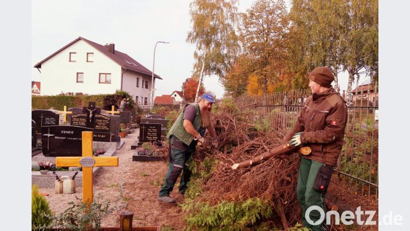 Am Friedhof sind die Thujen nun Geschichte. Bild: arw