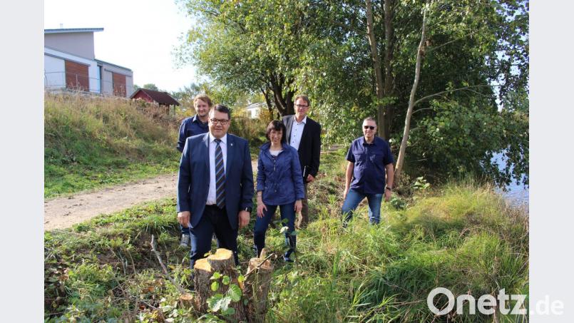 Bürgermeister Thomas Falter (vorne) machte sich mit Mitarbeitern der Gemeinde und Vertretern der Unteren Naturschutzbehörde ein Bild von der "Sachbeschädigung". Aktiv ist der "Baumsäger" am Uferweg beim neuen Baugebiet. Bild: exb/Gemeinde Wackersdorf