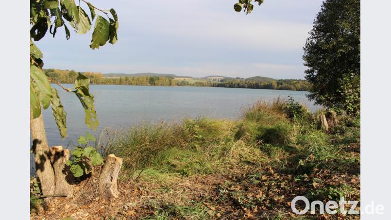 Seit April sägt ein Unbekannter Bäume am Westufer des Murner Sees beim Ortsteil Rauberweiherhaus,an. Bei einem Windstoß fallen diese um und müssen vom Bauhof entfernt werden. Bild: exb/Gemeinde Wackersdorf