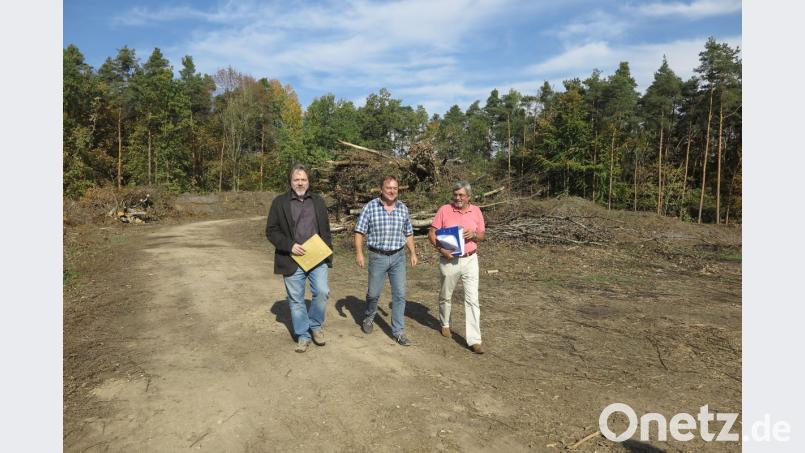 Roman Beer, Stefan Adam und Gerhard Schustek (von links) besichtigen die gerodete "Grube Austria", die zur Sanierung ansteht. Bild: Hirsch