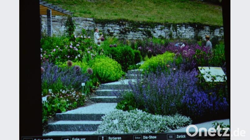 Ein positives Beispiel aus Schloss Trautmannsdorf (bei Meran). Hier blüht und grünt alles. Bild: hcz