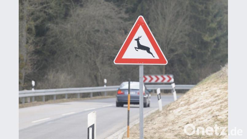 Das Verkehrsschild „Wildwechsel“ wird von vielen Autofahrern oft gar nicht richtig zur Kenntnis genommen. Dabei erreicht die Zahl der Wildunfälle jedes Jahr ein enorme Größe. Bild: Petra Hartl
