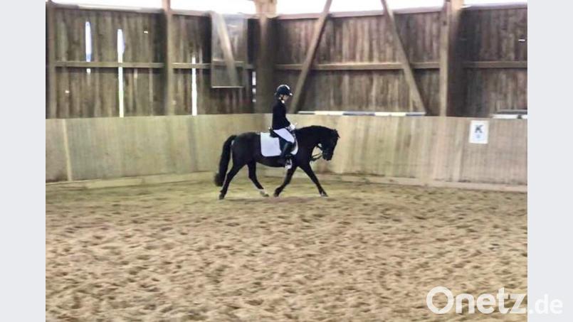 Zwei Podestplätze schafft Lena Kausler auf Chipsy. Im Reiterwettbewerb stehen die beiden ganz oben auf den Treppchen, im Springreiterwettbewerb belegen sie Platz drei. Bild: luk