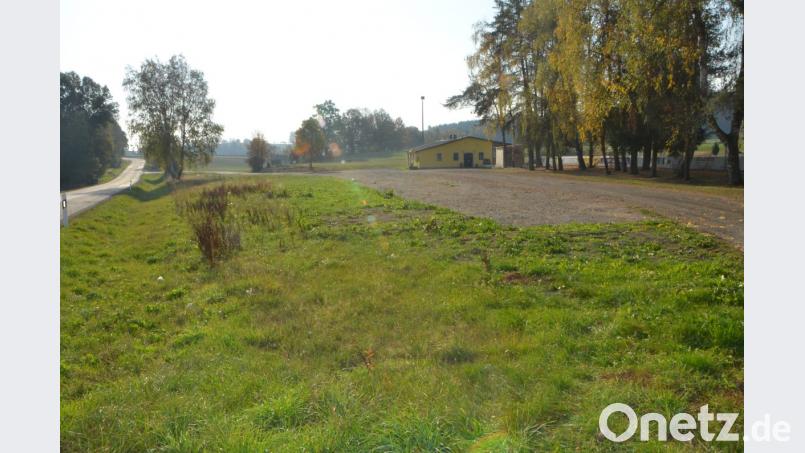 Weil zu wenig Platz zum Parken auf dem unbefestigten SV-Gelände vorhanden ist, parken die Zuschauer einfach widerrechtlich auf der Kreisstraße. Die Stadt will sich nun mit den Verantwortlichen um eine Lösung bemühen. Harald Striegl würde den Platz gerne befestigen, um mehr Fahrzeuge unterzubringen. Bild: dob