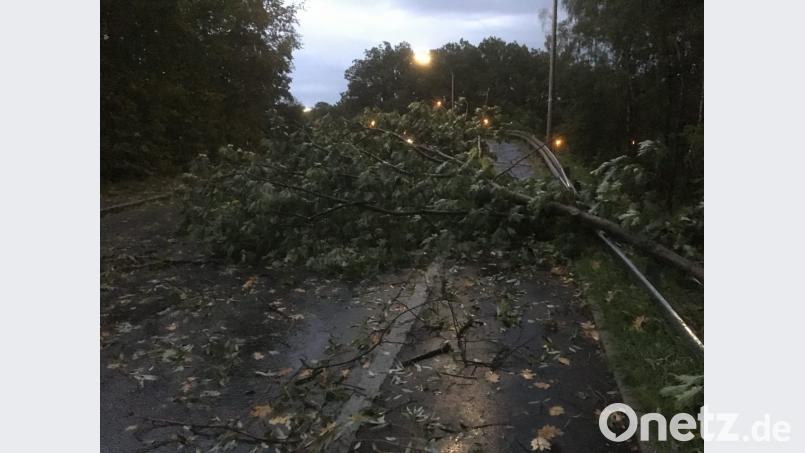 Kreuz und quer fliegen die Bäume in der Sturmnacht am 23. September 2018. Auch auf Luca Seiferts Auto kracht ein Baum. Bild: Gustl Beer