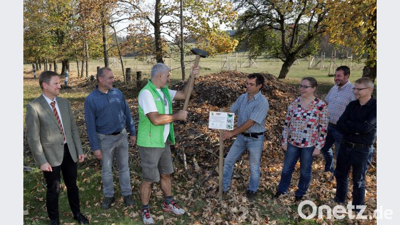 Jetzt brauchen die Nashornkäfer-Larven, mit den der Häckselgut-Haufen im Hintergrund geimpft wurde, nur noch Zeit und Ruhe (von links): Ambergs Rechts- und Umweltreferent Bernhard Mitko, Florian Haas (Stadt Amberg), Rudolf Leitl (Landschaftspflegeverband), Landschaftsökologe Hartmut Schmid, Maria Hanauer (Regierung), Richard Lehmeier (Landschaftspflegeverband) und Thomas Blank (Stadt Amberg). Bild: Wolfgang Steinbacher