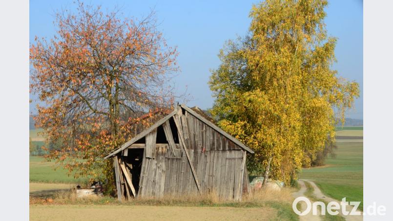 Hier ist die Natur der Chef. Bild: dob