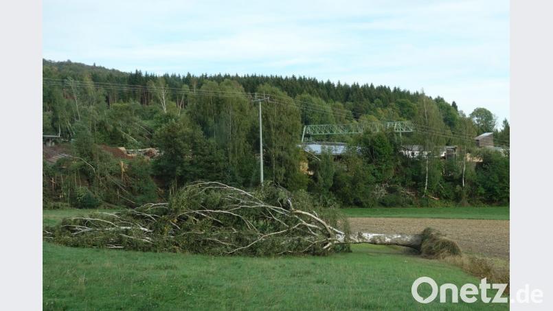 Für die erheblichen Sturmschäden durch das Orkantief &quot;Fabienne&quot; bei Hagendorf gelten noch die alten Pauschalen für Feuerwehreinsätze. Ab November kommt es zu wesentlichen Erhöhungen. Bild: fjo