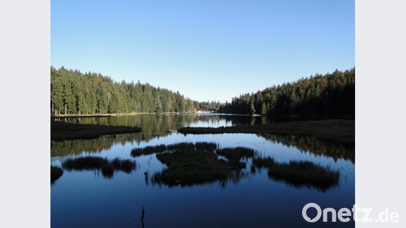 Großer Arbersee und Arberseehaus Bild: esa