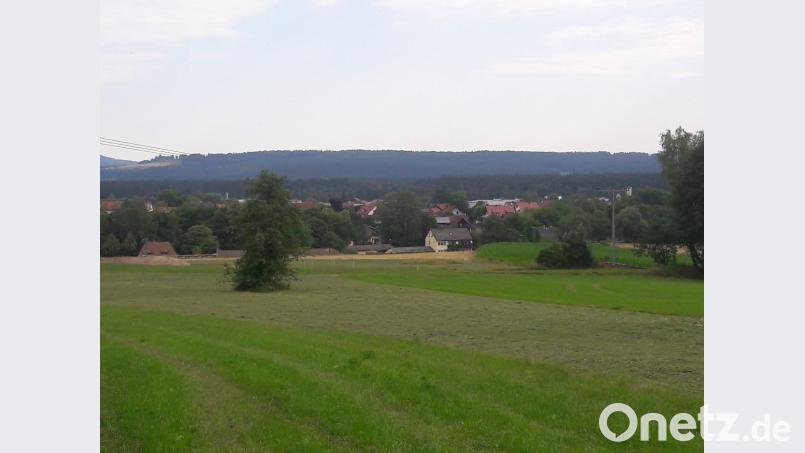 Hier soll das Baugebiet Esperngasse Ost entstehen. Bild: msh