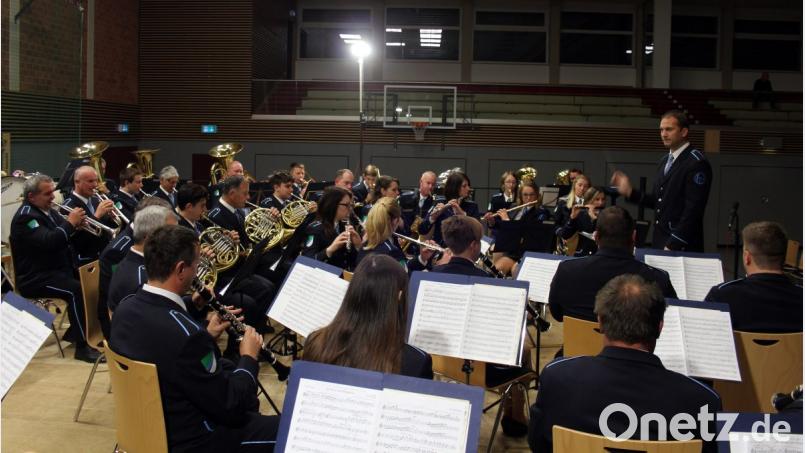 Dirigent Peter Kuder (stehend) spornt das bereits mehrfach international ausgezeichnete SVEA-Orchester aus der slowenischen Partnerstadt Zagorje ob Savi auch in Kemnath zu musikalischen Höchstleistungen an. Bild: stg