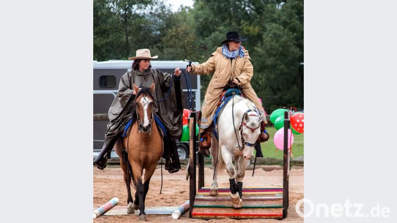Reiten über eine Brücke, wenden um die eigene Achse oder auf dem Elefantenhocker stehen waren Übungen für Reiter und Pferd, um den Interessierten in allen Vereinen die Trailmöglichkeiten zu bieten. Bild: R. Kreuzer