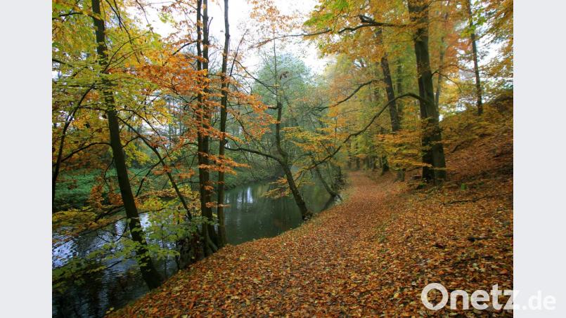 Ein Vorschlag im Bürgerhaushalt: Der &quot;Untere Weg&quot; an der Naab zwischen Schwandorf und Fronberg, auch &quot;Liebeswegerl&quot; getauft, soll durchgehend auf 1,50 Meter Breite ausgebaut werden. Bild: Gerhard Götz