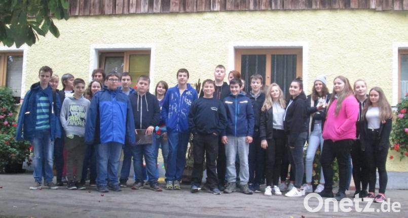 Schüler der Pfalzgraf-Friedrich-Mittelschule besuchen einen Bio-Bauernhof und sind vollauf begeistert. Bild: dob