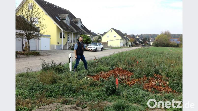 Anlieger Steffen Swoboda zeigt, wo die Stichstraße verlaufen soll. Der nördliche Teil der Libellenstraße ist noch nicht bebaut. Voraussetzung dafür ist aus Sicht der Stadt die Erschließung der gesamten Libellenstraße. Bild: Hirsch