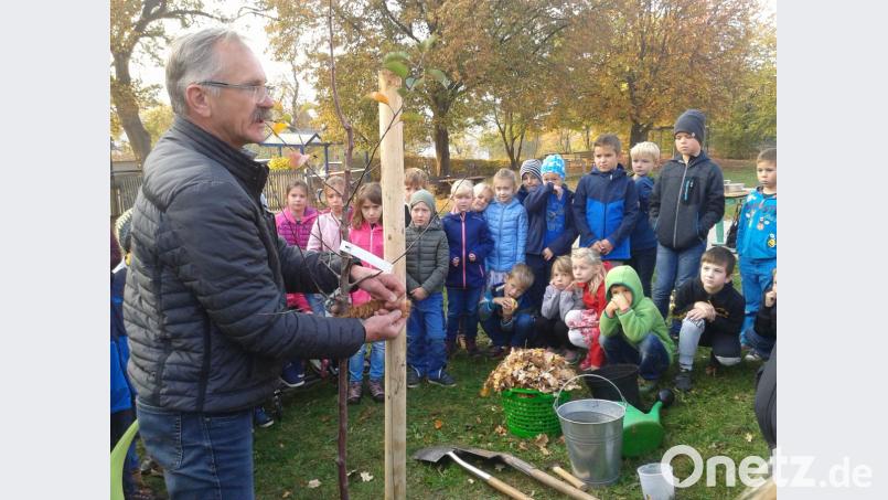 Aufmerksam hören die Kinder beim Pflanzen des Apfelbaums dem Gartenfachberater Arthur Wiesmet zu. Bild: ibj