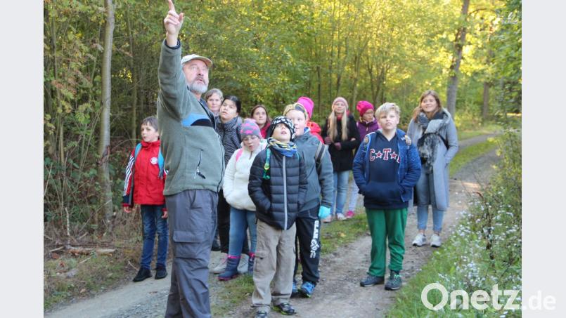 Aufmerksam verfolgen die Buben und Mädchen der Förderschule aus dem HPZ Irchenrieth den informativen Ausführungen von Forstamtmann Albert Urban über den Wald. Bild: grm