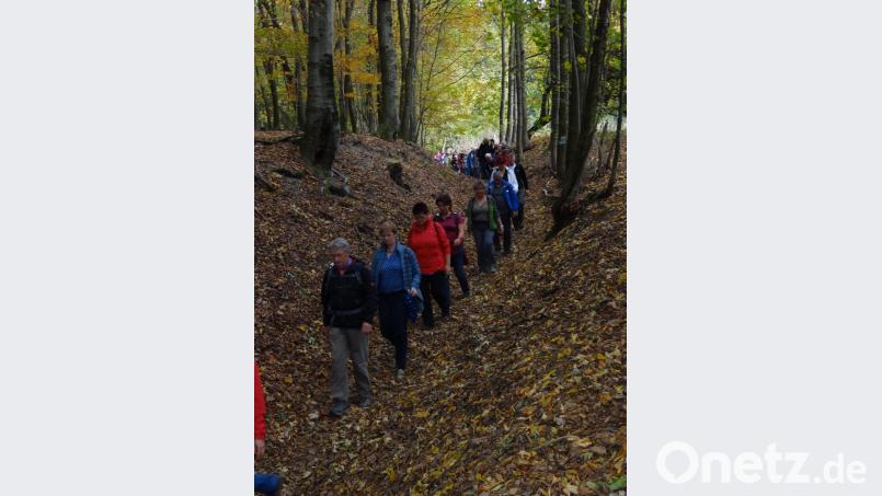 Idyllischer Hohlweg. Bild: ms