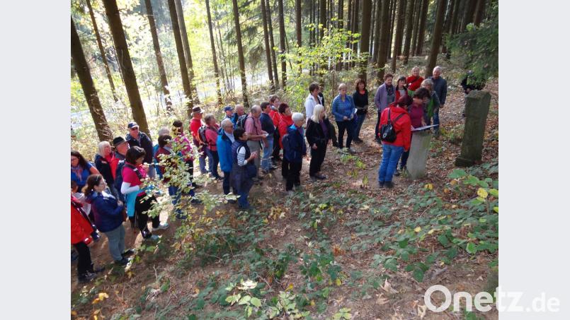 Die dritte Lesertour von Oberpfalz-Medien führte vom Schlossberg auf dem Marterlweg zurück nach Waldeck. Bild: ms