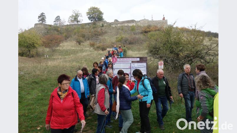 Die dritte Lesertour von Oberpfalz-Medien führte vom Schlossberg auf dem Marterlweg zurück nach Waldeck. Bild: ms