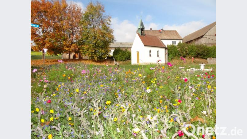 Dorfplatz in Zwergau. Bild: ms