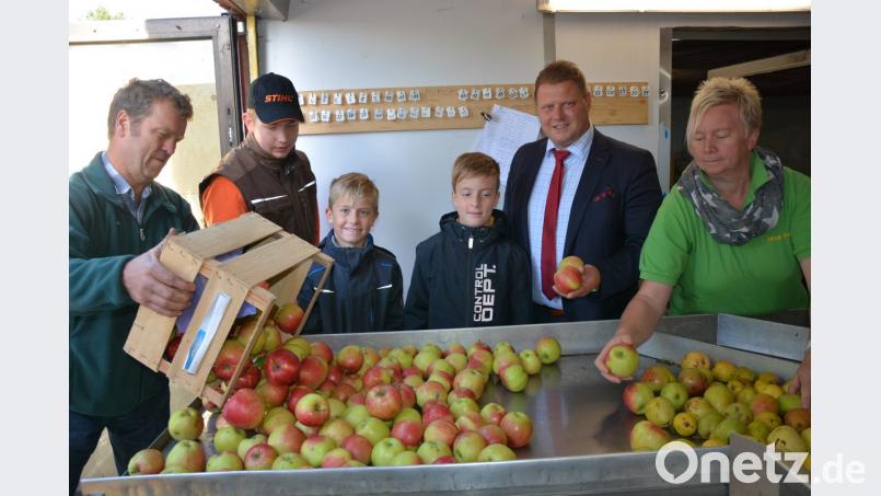 Peter Jacobey (links) und OGV-Vorsitzende Marion Puchta (rechts) und ihre Helfer haben beim Obstpressen seit Wochen alle Hände voll zu tun. Eingebunden ist dabei auch der Nachwuchs des Vereins. Gewerbefördervereins-Vorsitzender und 2. Bürgermeister Stefan Grillmeier (Zweiter von rechts) freut sich über das ehrenamtliche Engagement. Bild: jr