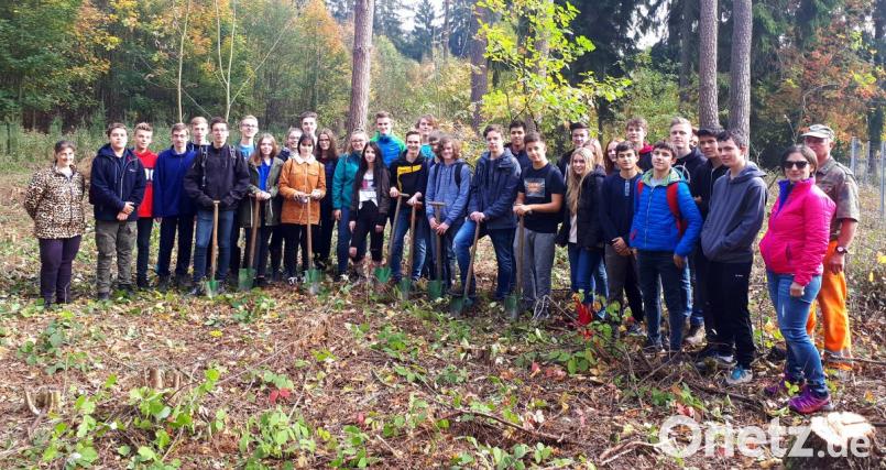 Die Schüler des Gymnasiums Neustadt und ihre Lehrkräfte helfen bei der Waldarbeit. Bild: mef