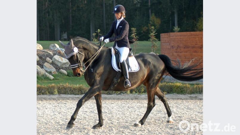 Gleich zwei S-Prüfungen gewonnen - für Susanne Hubrich und "Daylight" ein perfektes Wochenende. Bild: otr