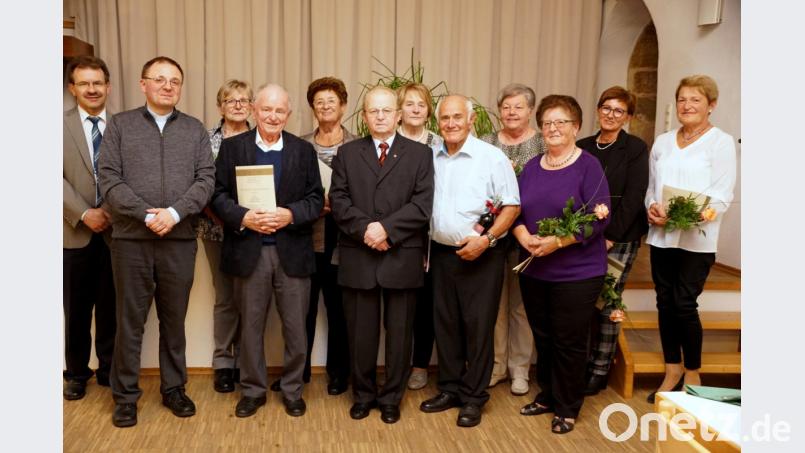 Seit mindestens 40 Jahren engagieren sich Maria Wörl, Volker Brandl, Helga Wolf, Josef Söllner, Inge Stich, Richard Prösl, Ilse Brandl, Rita Vetter, Elisabeth Daschner und Otti Schönfelder (von links) in der Kirchenmusik. Dafür dankt Bischof Rudolf Voderholzer mit Urkunden in Gold. Bild: bkr