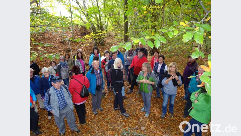 Die dritte Lesertour von Oberpfalz-Medien führte vom Schlossberg auf dem Marterlweg zurück nach Waldeck. Bild: ms