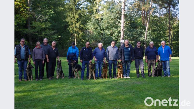 Zahlreiche Teilnehmer stellten sich der Herbstprüfung. Unser Bild zeigt von links Ulrich Helgert, Prüfungsleiterin Heike Roidl, Peter Gmelch, Milan Cerny, Ludwig Weigl, Josef Meier, Franz Waltl, Leistungsrichter Bernhard Prem, Übungswart Alfred Jäger, Georg Nürnberger und Vorsitzenden Franz Gulz. Bild: ksi