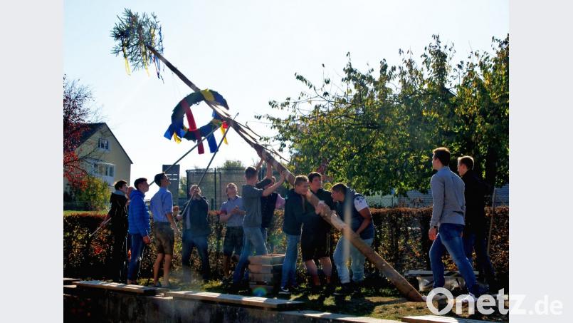 Im Pausenhof der Mittelschule hievten die Burschen den Kirwabaum emport. Bild: agr