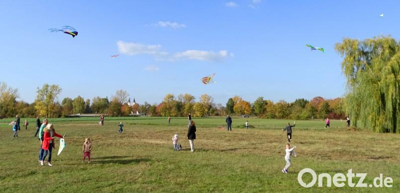 Trotz flauem Wind schafften es viele Drachen in die Lüfte zur Freude der Kinder beim Drachenfest der Krumpes-Siedler. Bild: Dobmeier