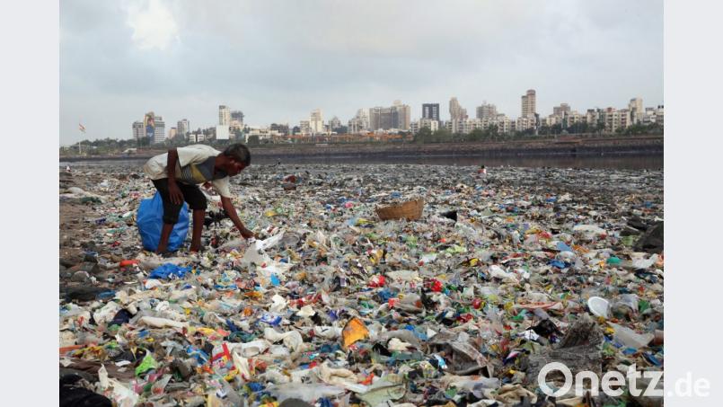 Ein Mann sammelt Plastik und andere wiederverwertbare Materialen an der von Plastikmüll übersäten Küste des Arabisches Meeres. Die EU will die Plastikflut mit Verboten eindämmen. Bild: Rafiq Maqbool/AP/dpa