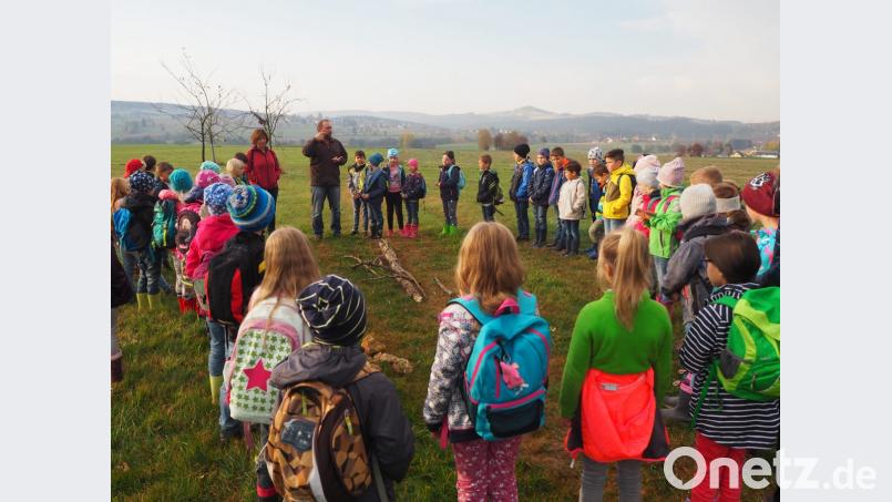 Wissenswertes und Interessantes rund um das Thema Streuobstwiese erklärte erster Vorsitzender des Obst- und Gartenbauvereins Neusorg, Oliver Becher den Zweitklässlern der Fichtelnaabtal-Grundschule. Bild: jpl