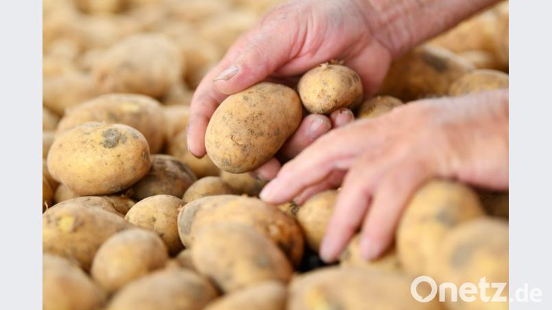 Symbolbild Bild: Uwe Anspach/dpa