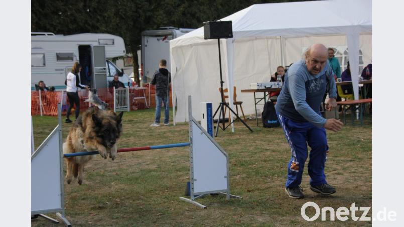 Es herrschte Spannung beim Mensch-Hund-Team und bei den Zuschauern, sobald der Startschuss für einen neuen Durchlauf fiel. Bild: ads