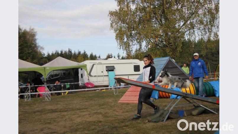 Voller Einsatz bei Herrin und Hund. Bild: ads