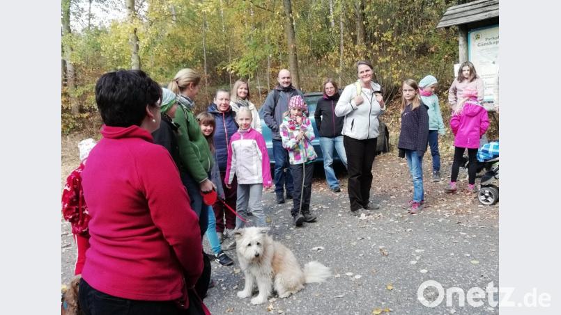 Einige Väter und Mütter bringen neben ihren Kindern auch den Familienhund zum Treffpunkt am Wanderparkplatz der Gänskopfhütte mit. Bild: hai