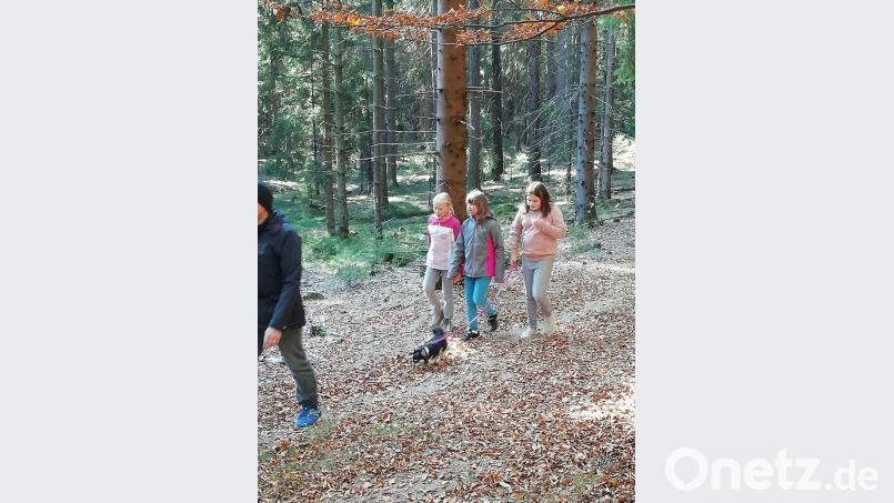 Entlang des Weges gibt&#039;s für die Kinder immer wieder etwas zu entdecken. Bild: hai