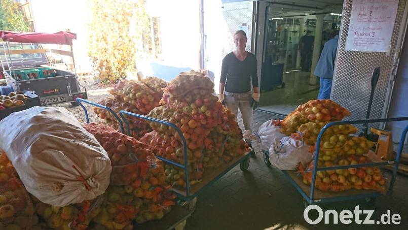 Über eine Tonne Früchte bringt Rita Fenzl für den Kindergarten zur Obstpresse in Leuchtenberg. Gut 700 Liter Saft fährt sie anschließend in den Regenbogen-Kindergarten. Bild: njn