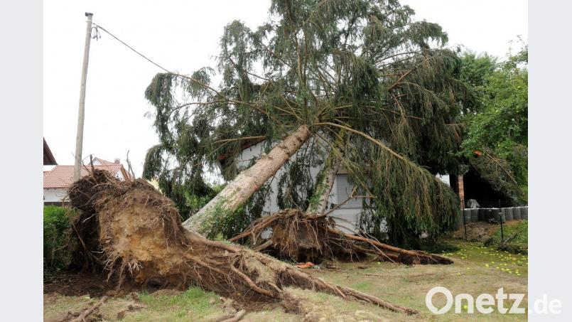 Stürme können enorme Schäden anrichten. Bild: Stephan Huber