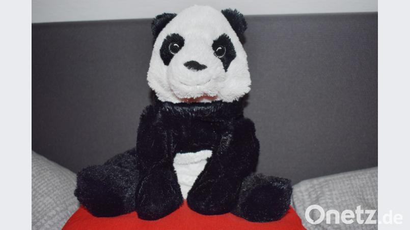Wohnt im Bett von Lucia Seebauer: Panda Kramig. Bild: lue