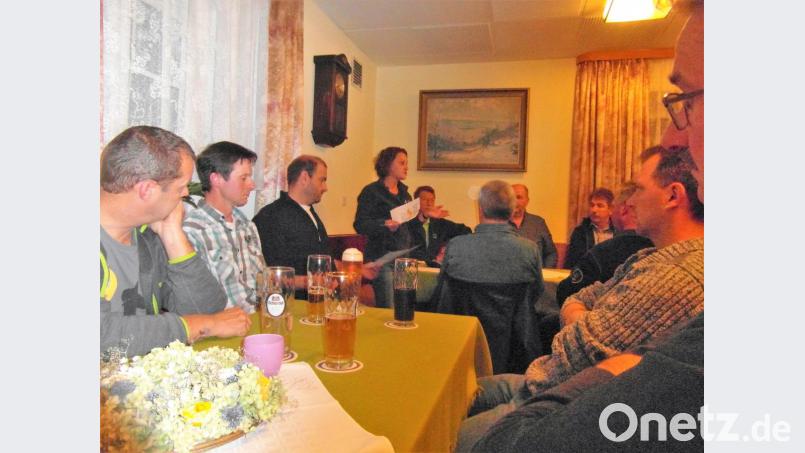 Forstingenieurin Carina Czurda (stehend) erläutert den Holzmarkt und die Käfersituation. Bild: hl