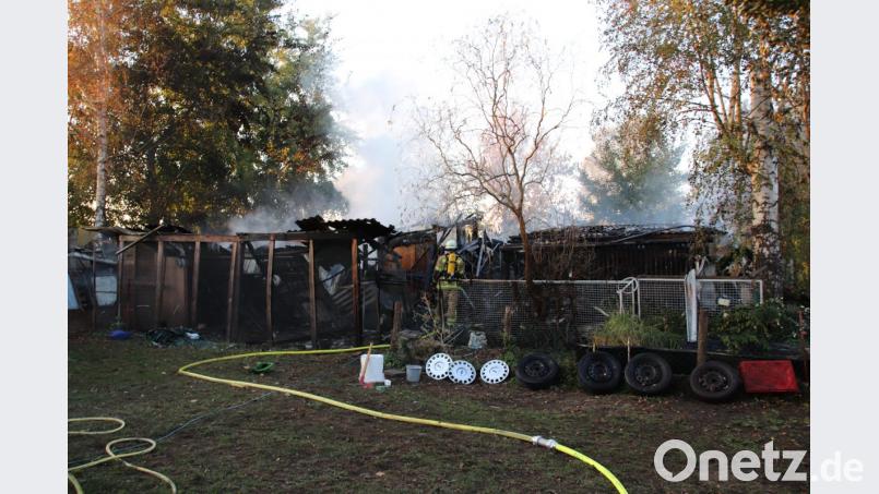 In einem der Holzgebäude befanden sich Notstrom-Aggregate, mit denen der Besitzer des Grundstücks die Energieversorgung sicherte. Eines dieser Aggregate fing zu brennen an und mit ihm der Schuppen und einiges drumherum. Bild: Thomas Dobler