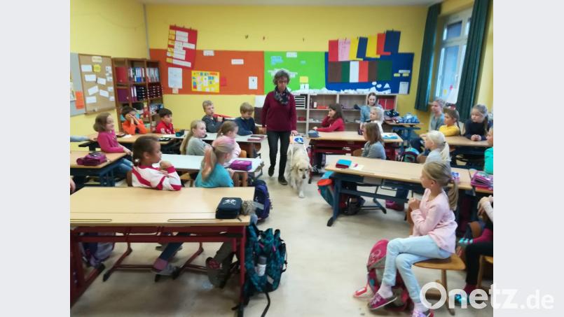 &quot;Such Tür&quot;, sagt Kerstin Schubert zu Hündin Nora. Die führt sie durch die Stuhlreihen aus dem Klassenzimmer raus. Bild: fz