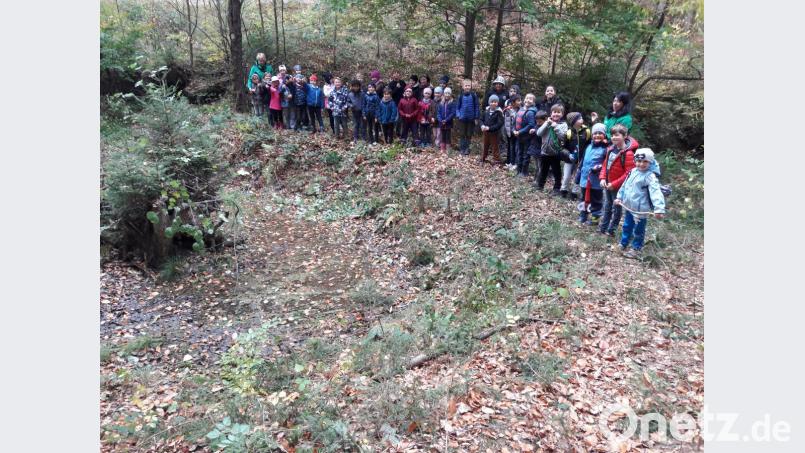 Der freigelegte Biotopteich ist fertig. Bild: exb