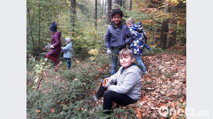 Die Kinder bei der Arbeit im Wald. Bild: exb