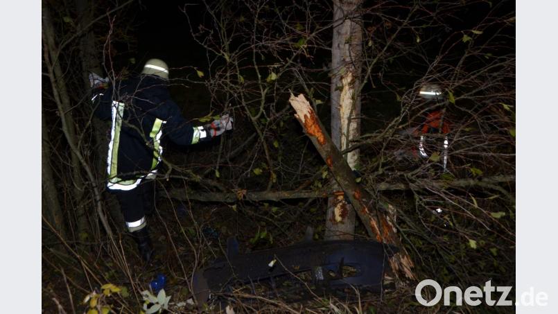 Einige schwächere Bäume knickten um. Bild: dob