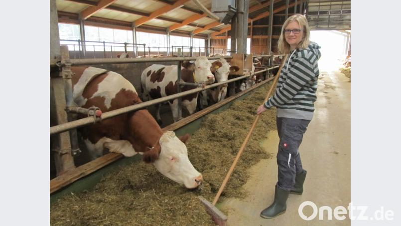 Die Arbeit im Stall ist längst nicht das einzige Aufgabenfeld von Manuela Pronath, die für den "Business Women`s Society Award" nominiert ist. Bild: bl